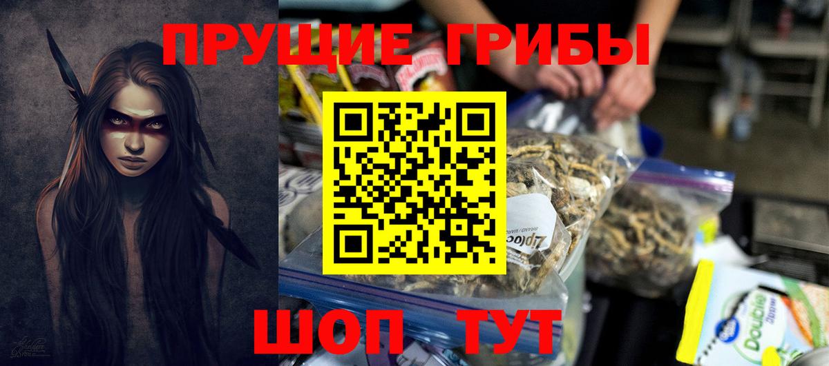 Якутск  Галлюциногенные грибы Cubensis  Вход с VPN 